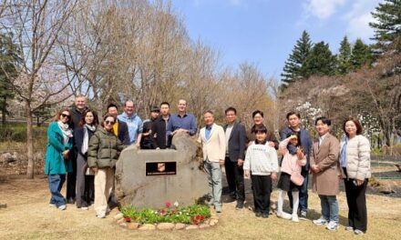 Nami Island Roots Global Tourism in Sustainability