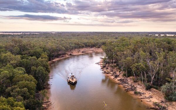 Emmylou Deals Drift In With No Solo Sting