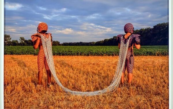 The Whyte Opens Summer 2026 with Bold New Exhibitions