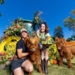 Forks Up: 15 Years of Flavour Celebrated