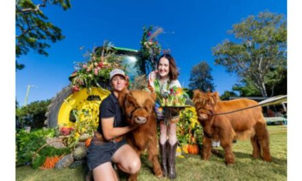 Forks Up: 15 Years of Flavour Celebrated