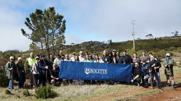 Fred. Olsen Plants 300 Trees in Madeira