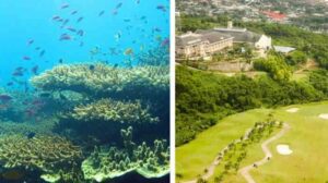 From depths to heights: Whether exploring the famous sardine run in Moalboal or enjoying the rolling greens of Cebu’s premier golf courses, discovery is always within reach.