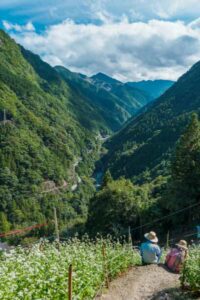 HIKING JAPAN’S PILGRIMAGE ROUTES IS THE THERAPY WE ALL NEED RIGHT NOW