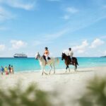 Holland America Celebrates 153 Years with Big Sale