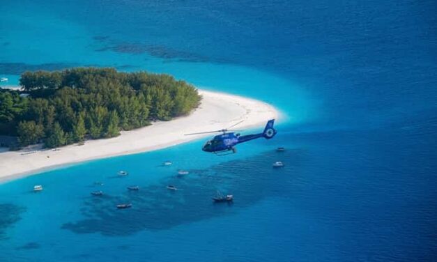 Mnemba Island’s New Arrival: Less Transit, More Theatre