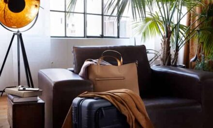 Lufthansa and Airportr ditch baggage queues across Europe