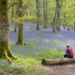 Scotland’s Season of Sound, Spirit & Splendour