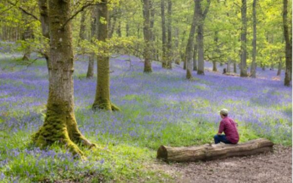 Scotland’s Season of Sound, Spirit & Splendour