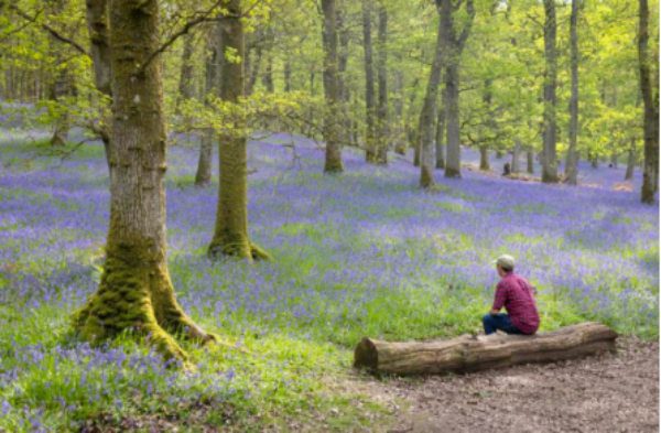 Scotland’s Season of Sound, Spirit & Splendour