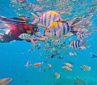 TransNusa Expands Domestic Routes and Flight Frequency