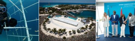 MSC Foundation Expands Bahamas Marine Impact