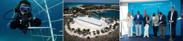 MSC Foundation Expands Bahamas Marine Impact