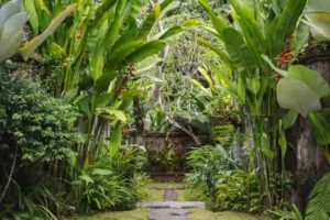 Mandapa's villas dazzle even before entering them.