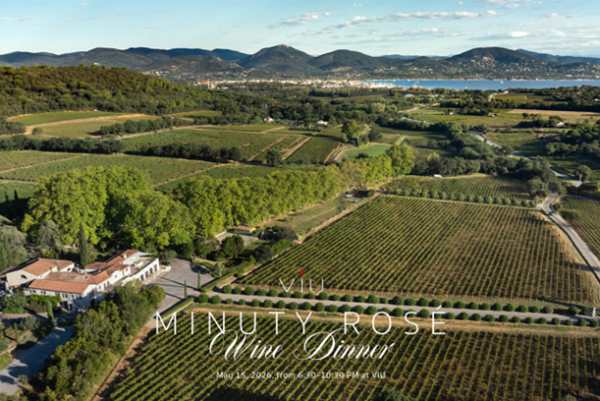 Minuty Vineyard