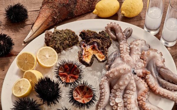 Myconian Collection Leads Responsible Luxury