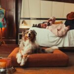 Booking.com Names Australia’s Top Pet-Friendly Escapes
