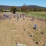 Marriott Powers Up for a Greener Planet