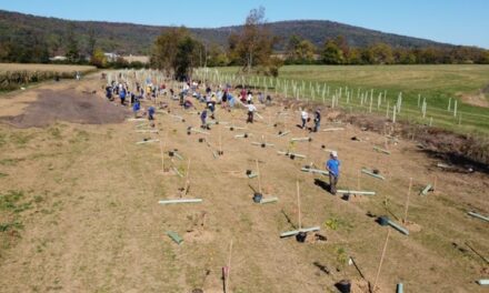 Marriott Powers Up for a Greener Planet