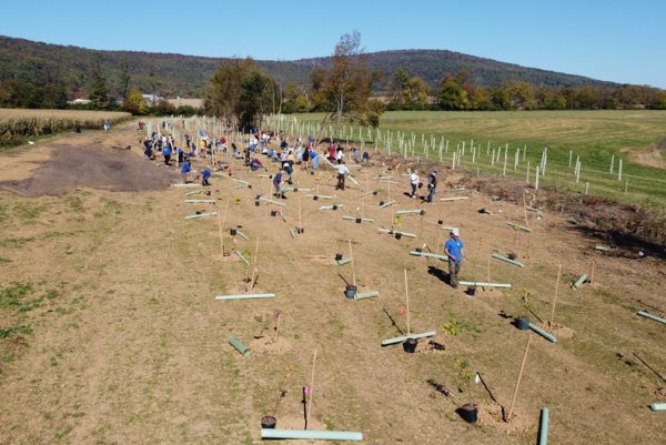Marriott Powers Up for a Greener Planet