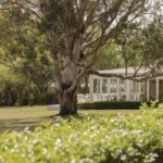 Restaurant Botanica Unveils New Era at Spicers Estate