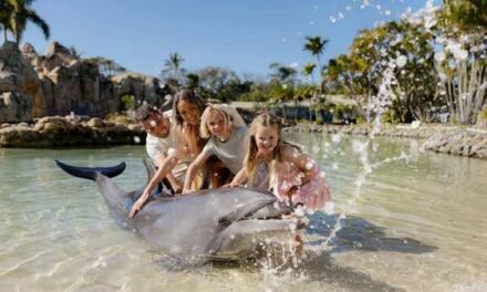 Travel Deals of the Week You Can’t Miss