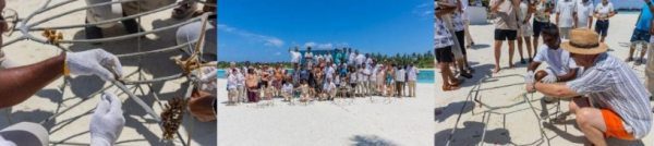 Sun Siyam Olhuveli Launches Coral Adoption in Maldives