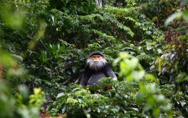 InterContinental Danang Unveils New Nature Escapes