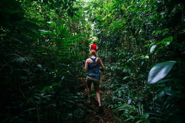 This May, Dominica is inviting U.S. travelers to trade beach crowds for rainforest trails during HikeFest 2026