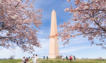 Washington DC Spring 2026: What’s Hot Now