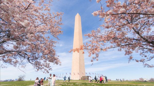 Washington DC Spring 2026: What’s Hot Now