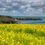 Waterford Tops Condé Nast’s Best of Ireland List