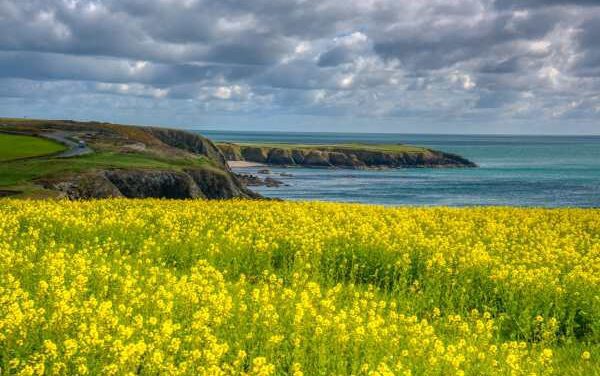 Waterford Tops Condé Nast’s Best of Ireland List