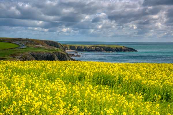 Waterford Tops Condé Nast’s Best of Ireland List