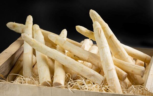 Red Sky Springs for White Asparagus Season