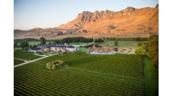 NZ Pushes for World’s First White Wine Emoji