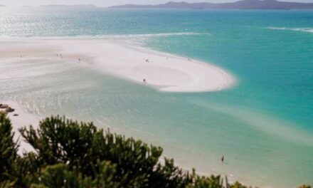 Tourism Whitsundays Launches Give-Back Program