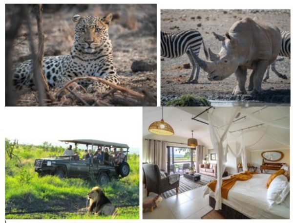 Winter safari magic
