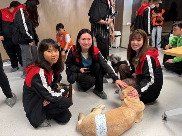 3. The volunteer team members engage with the dogs, experiencing their warmth and affection