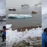 Antarctica Trips: Five Mistakes Travellers Must Avoid