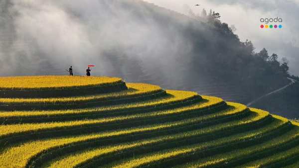 Agoda Finds Travellers Craving Greener Getaways