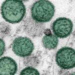 Deadly Cruise Virus Crisis Deepens as Fourth Passenger Falls ill