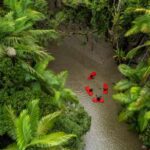 Travel Agents Flock to Port Douglas and Daintree