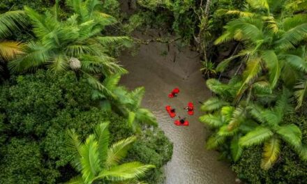 Travel Agents Flock to Port Douglas and Daintree