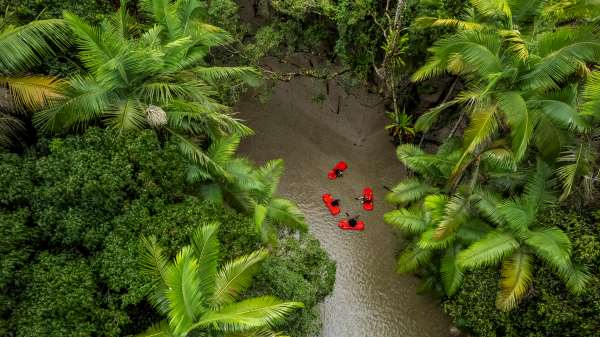 Travel Agents Flock to Port Douglas and Daintree