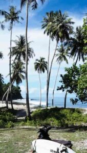 Boards ready beneath palms, Simeulue’s quiet surf awaits. Image by Alex Benaud
