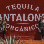 Pantalones Organic Tequila Lands in Australia