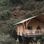 Auko Eco Lodges Redefine Phong Nha Wellness Escape