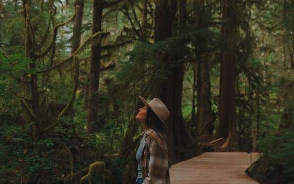 Clayoquot Wilderness Lodge Lights Up 2026 Season