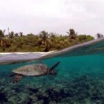 Eri Maldives Unveils a Stunning House Reef Escape